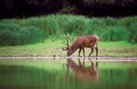 /album/fenykepgaleria/images-9-jpg1/